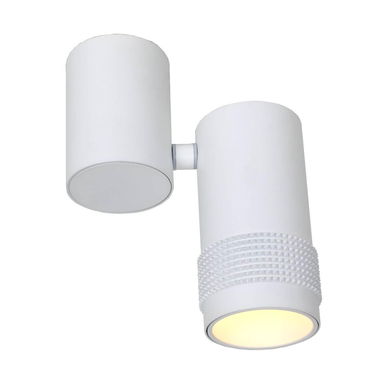 Картинка Спот Favourite Kinescope 2453-1U