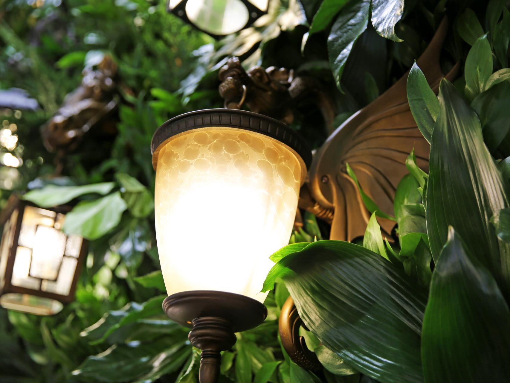 Дополнительная картинка Уличный настенный светильник Favourite Dragon 1717-1W