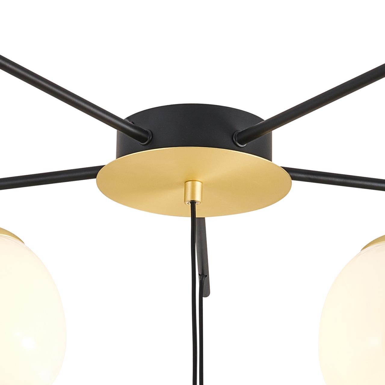 Картинка Потолочный светильник Paramount 3047-6P