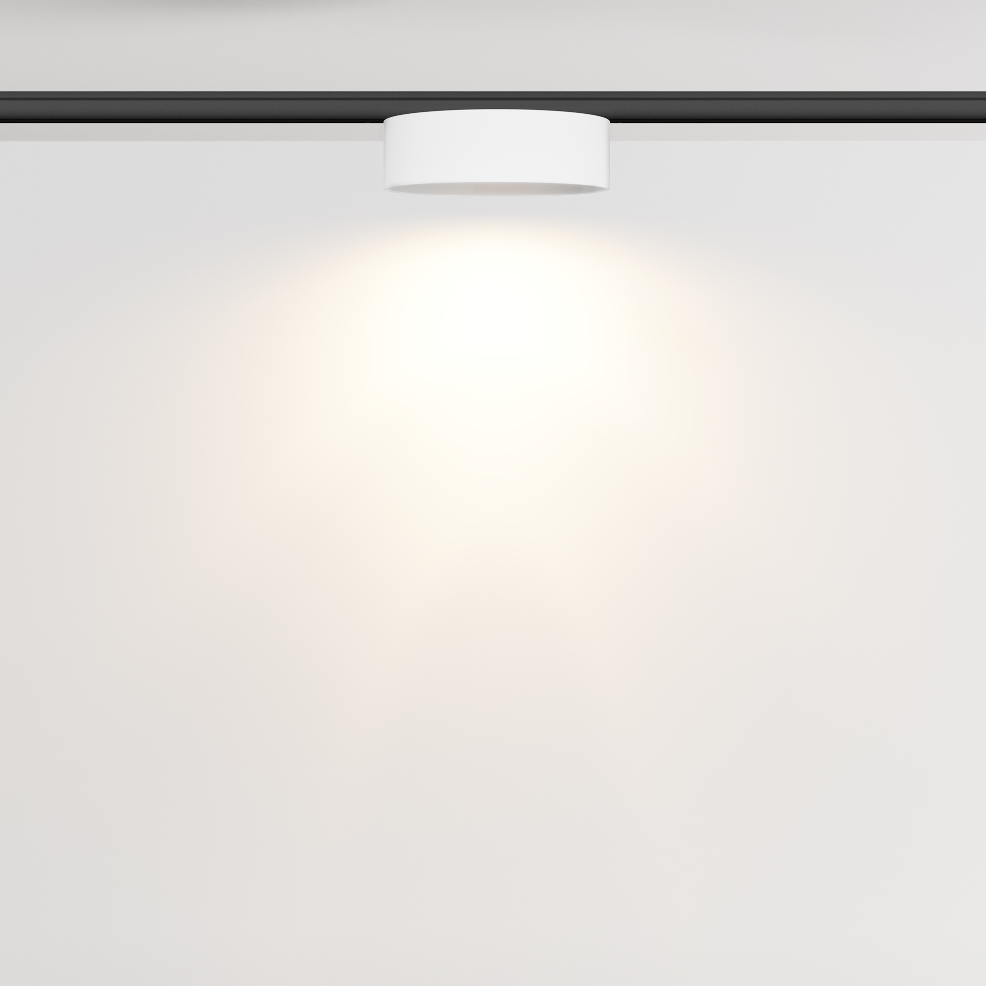 Дополнительная картинка Трековый светильник Technical TR189-1-12W3K-BW