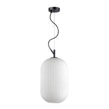 Подвесные Подвесной светильник Odeon Light Pendant Roofi 4752/1, доставка по Казахстану 