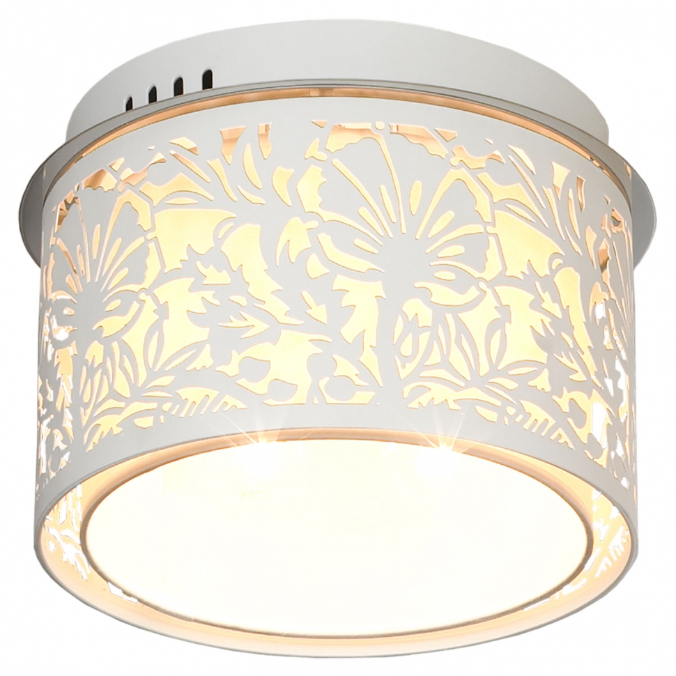 Дополнительная картинка Потолочный светильник Lussole Vetere LSF-2307-04