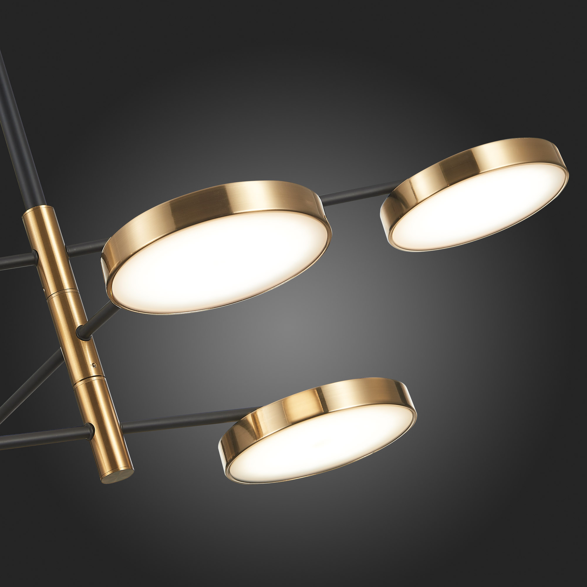 Картинка Подвесная светодиодная люстра ST Luce Farone SL1605.413.06
