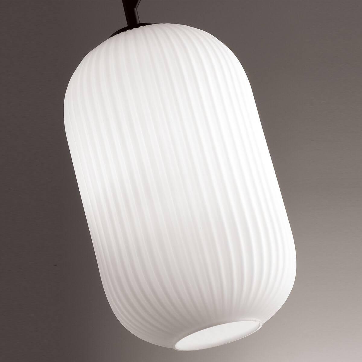 Дополнительная картинка Подвесной светильник Odeon Light Pendant Roofi 4752/1