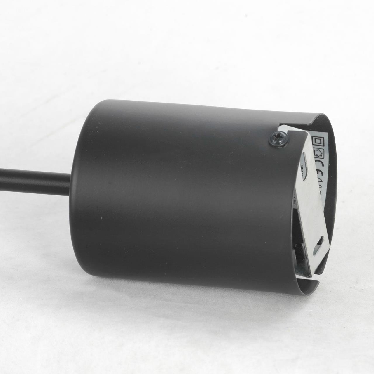 Дополнительная картинка Подвесная люстра Lussole Loft Duncan GRLSP-8252