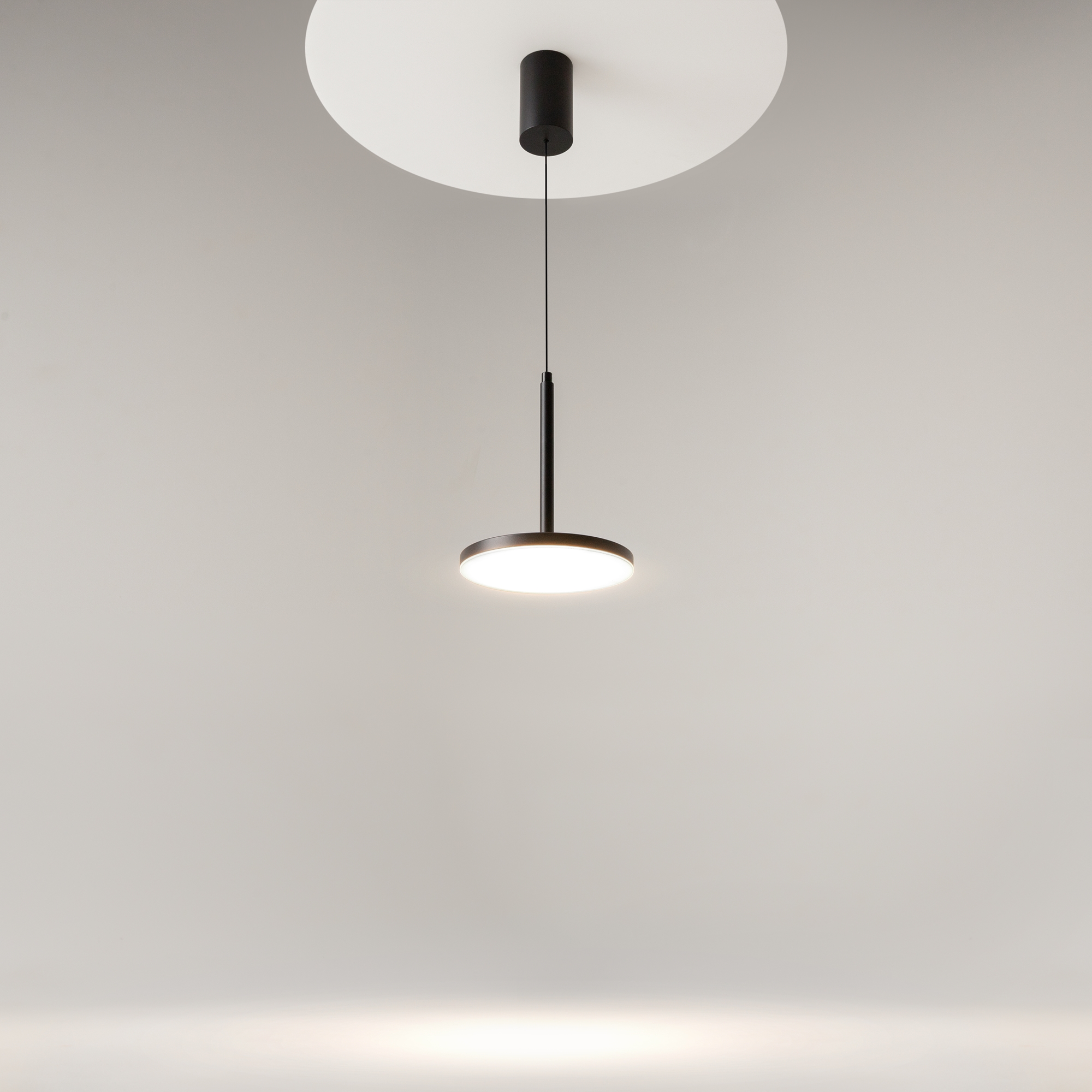 Картинка Подвесной светильник Technical P076PL-L12W4K-B