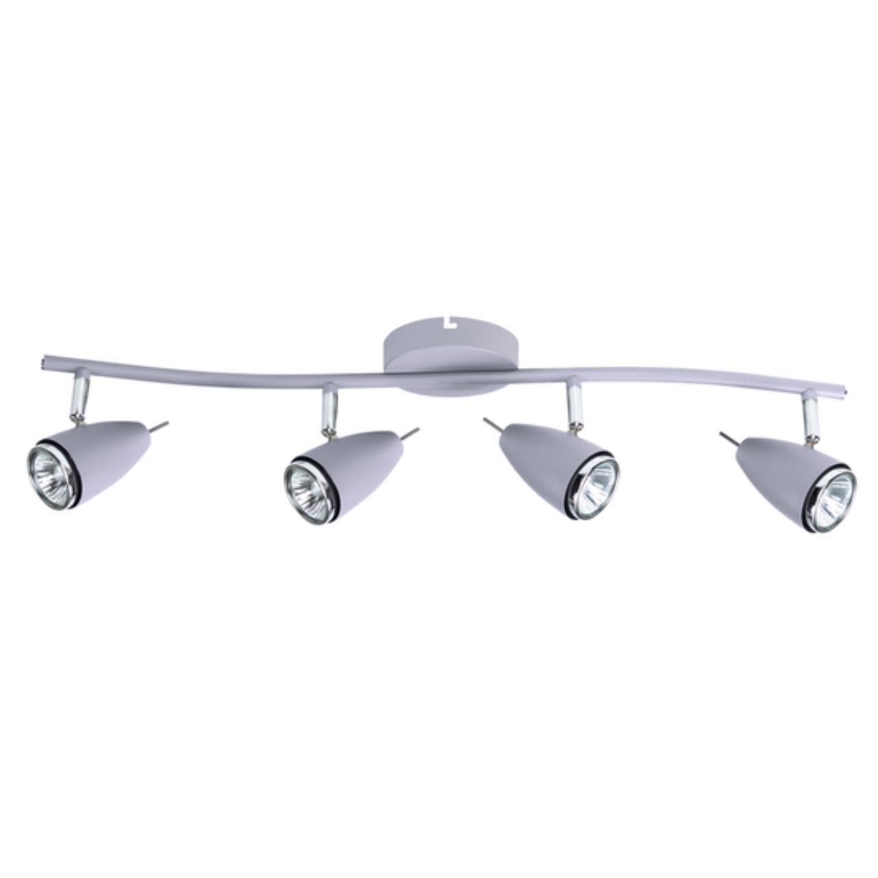 Дополнительная картинка Настенно-потолочный светильник Arte Lamp Regista A1966PL-4GY