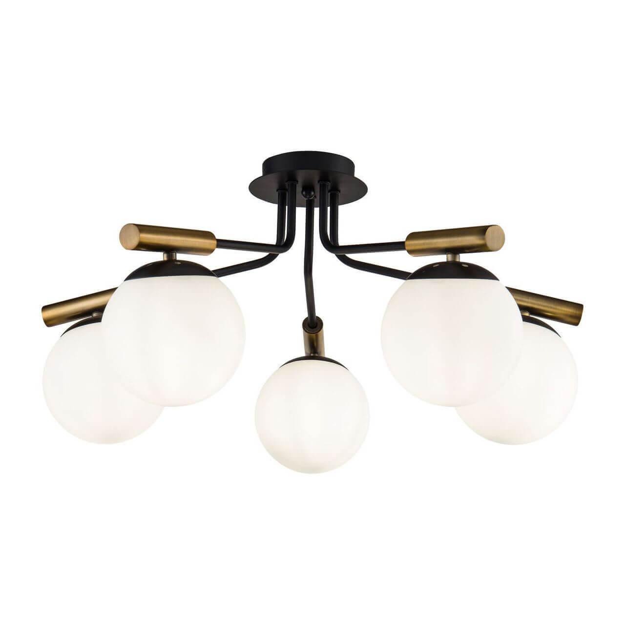 Картинка Потолочная люстра Freya Paolina FR5011CL-05B