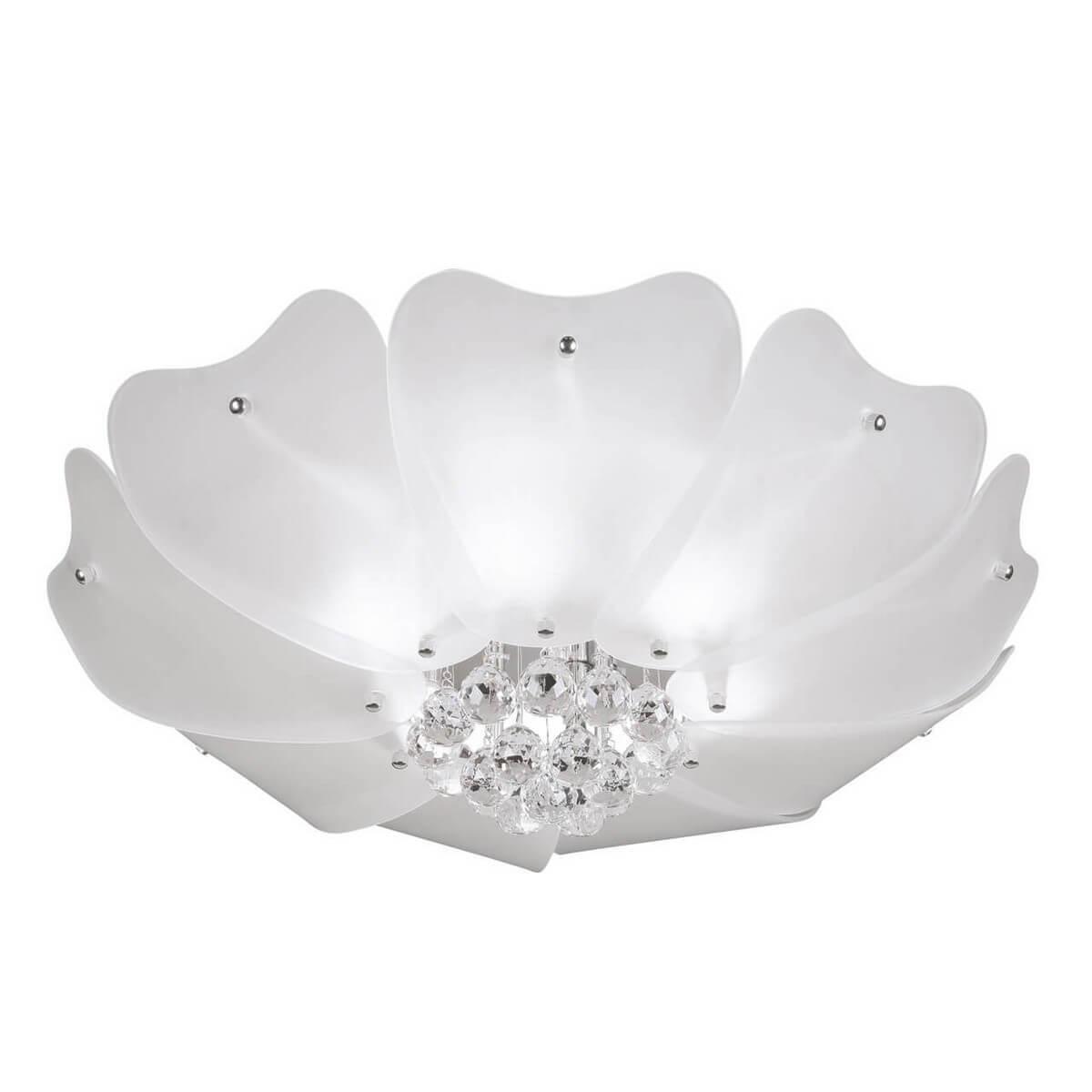 Картинка Потолочный светильник Lightstar Lobo 804020