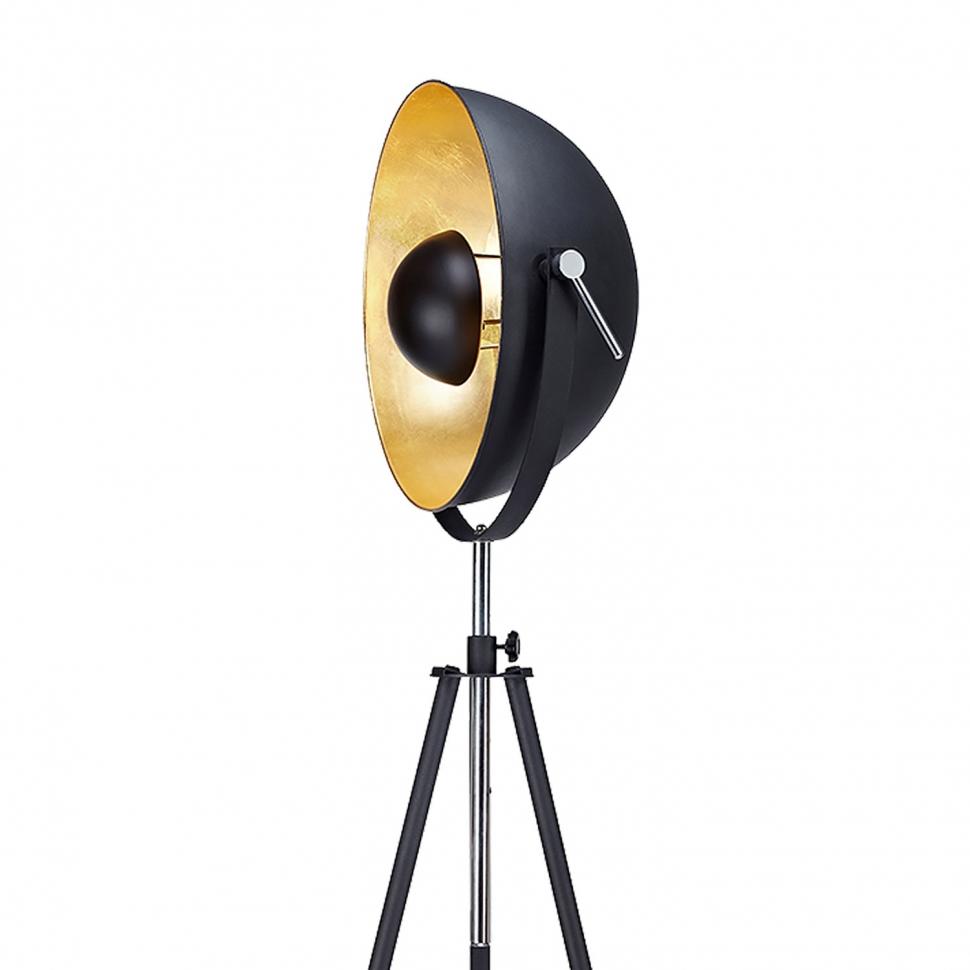 Дополнительная картинка Торшер Lussole Loft Bollo LSP-9824