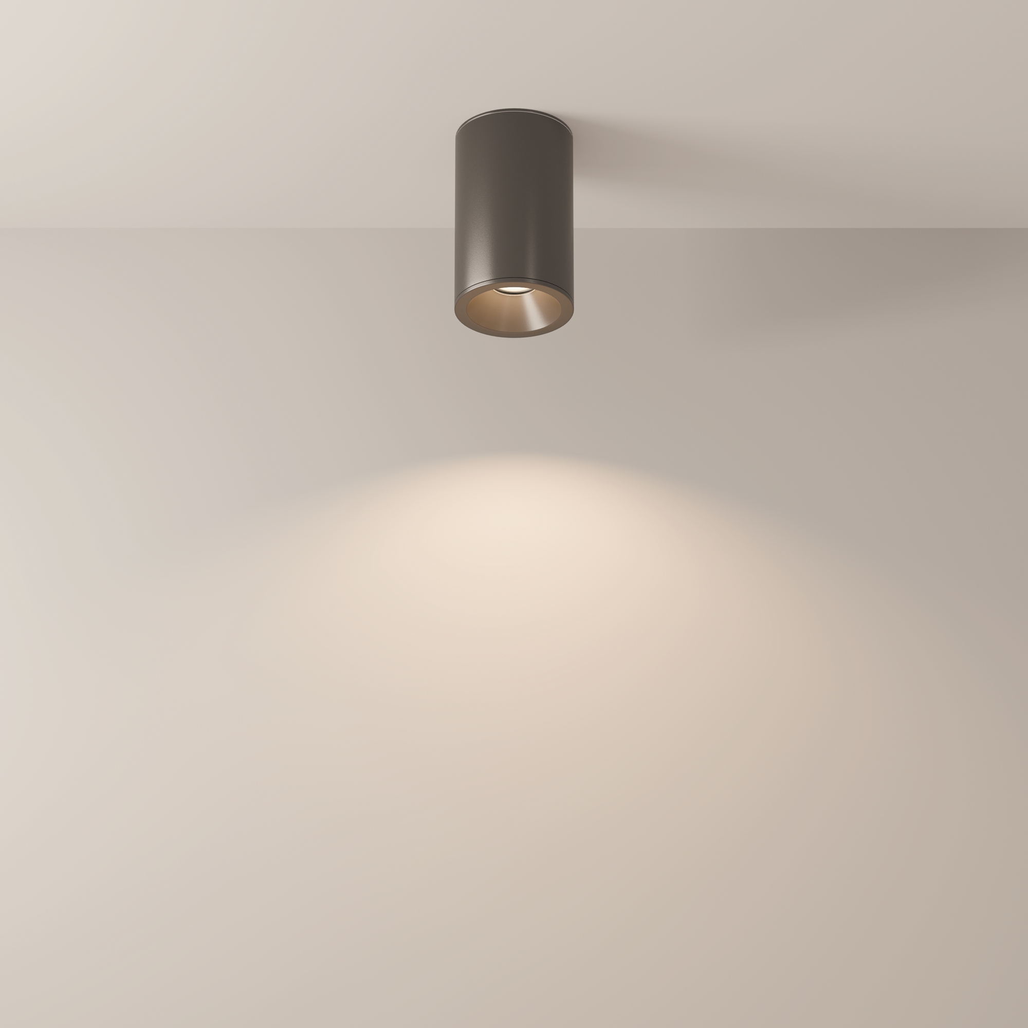 Картинка Потолочный светильник Technical C029CL-01-S-B