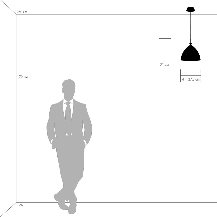Картинка Подвесной светильник Lightstar Simple Light 810 810030