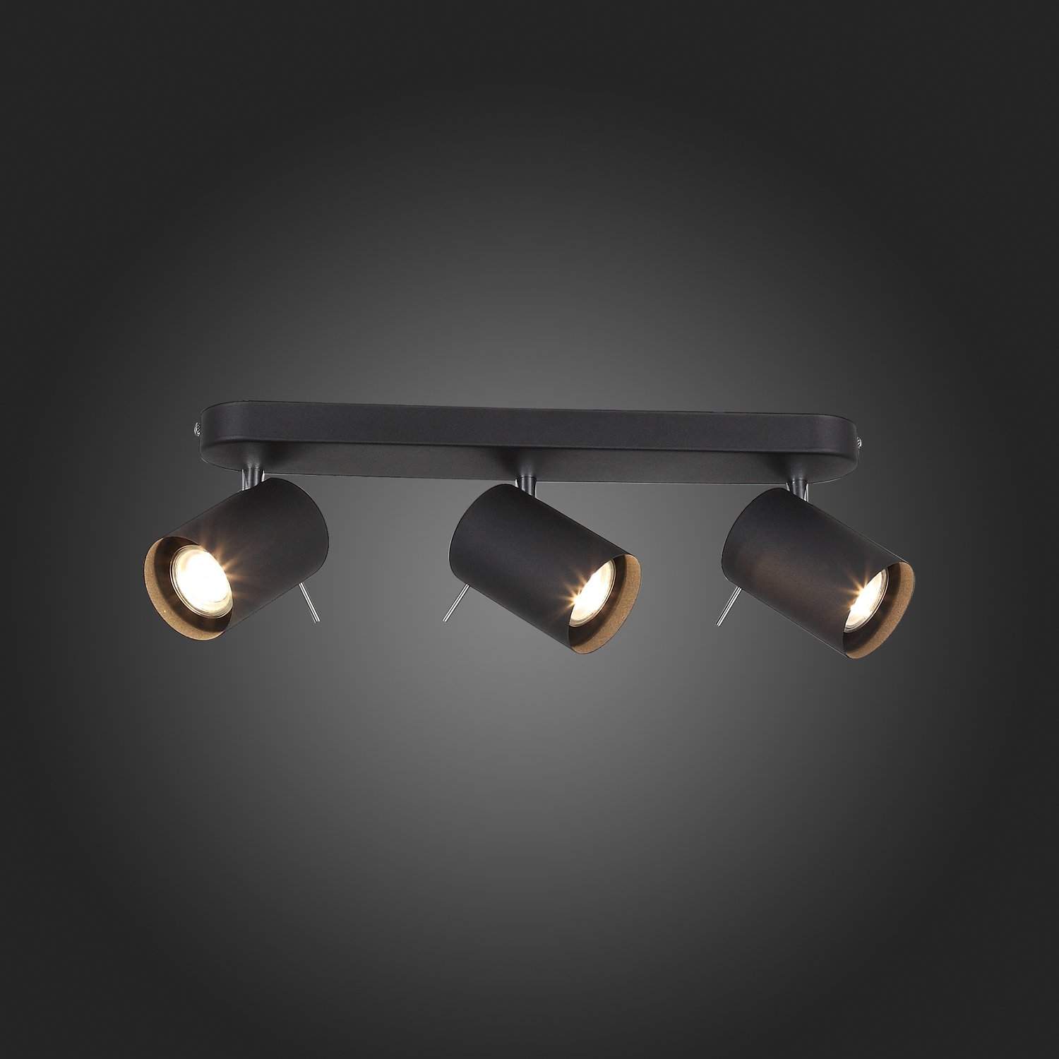 Картинка Светодиодный спот ST Luce Fanale SL597.401.03