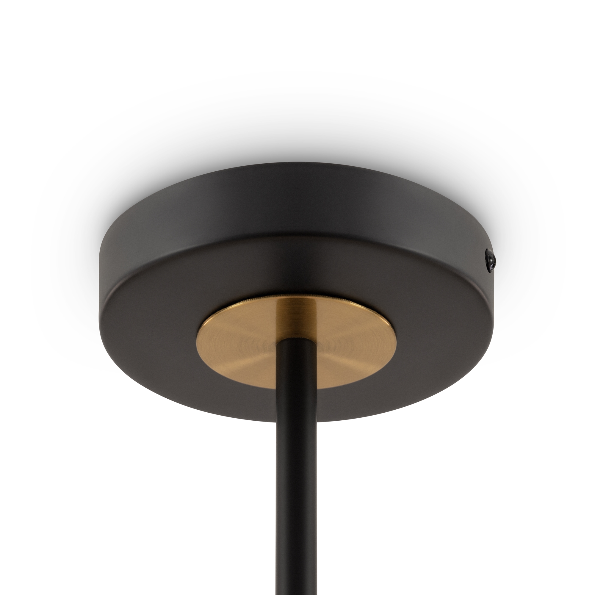 Дополнительная картинка Потолочный светильник Freya FR5370CL-06B