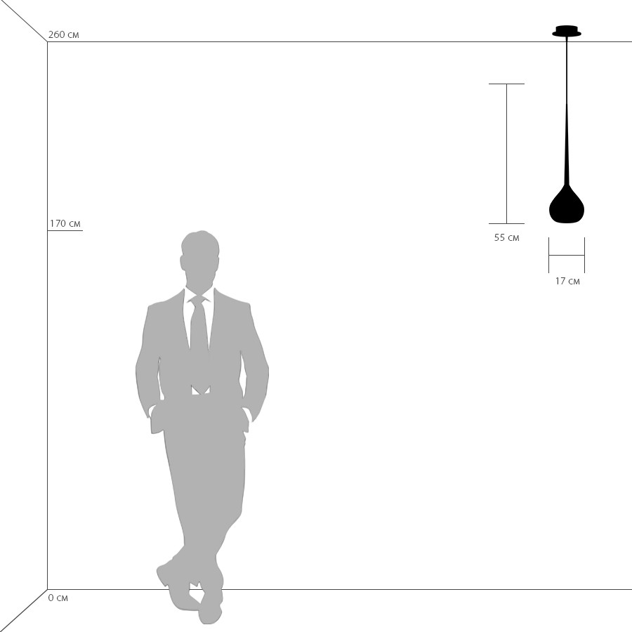 Картинка Подвесной светильник Lightstar Forma 808117