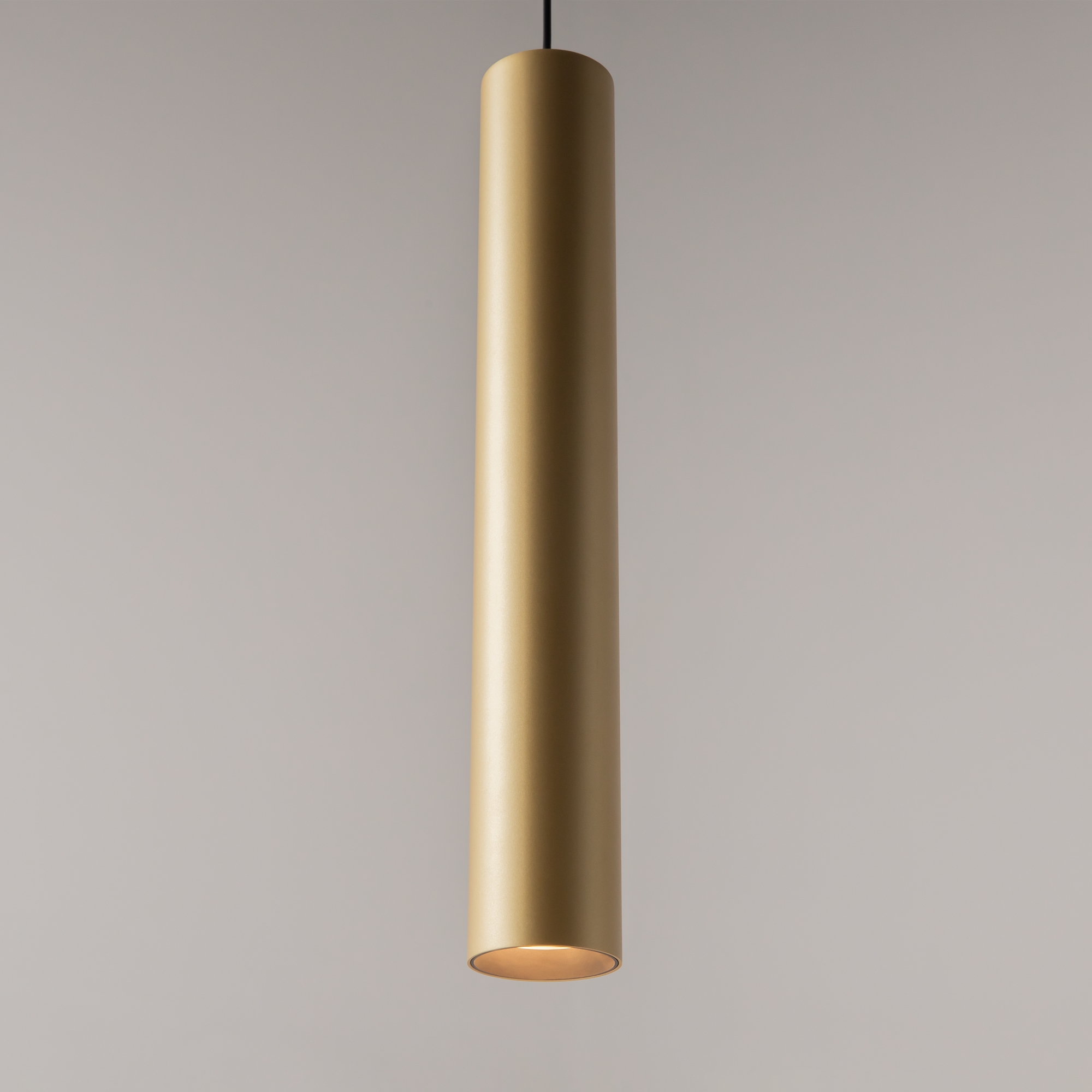 Дополнительная картинка Подвесной светильник Maytoni MOD161PL-01G1