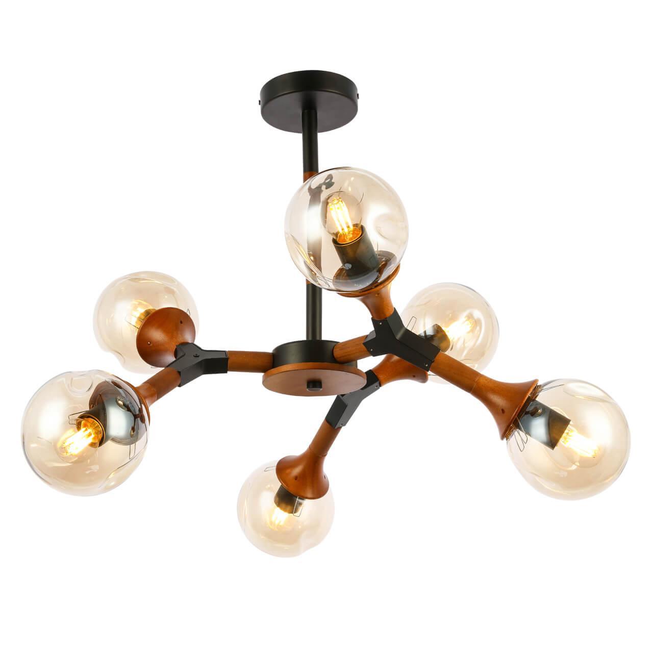 Дополнительная картинка Потолочная люстра Evoluce Raquel SLE109402-06