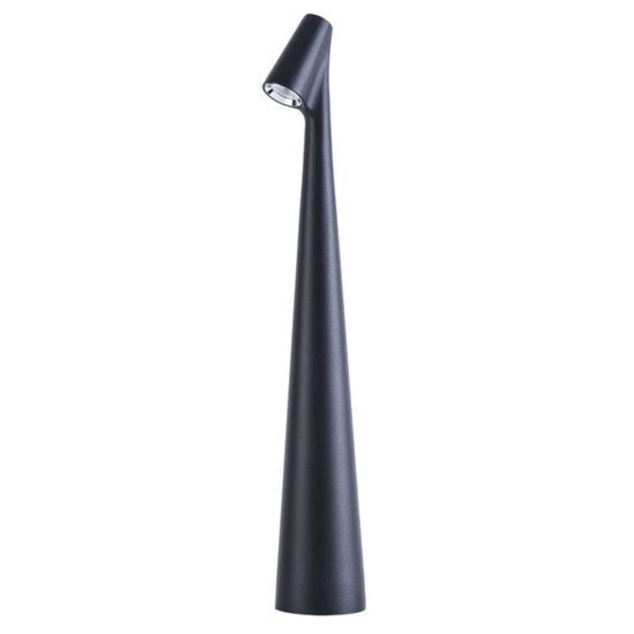 Настольная лампа Arte Lamp FUSION A3283LT-2BK