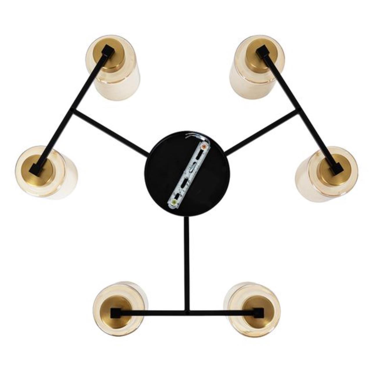 Дополнительная картинка Потолочный светильник Arte Lamp LEO A7027PL-6BK