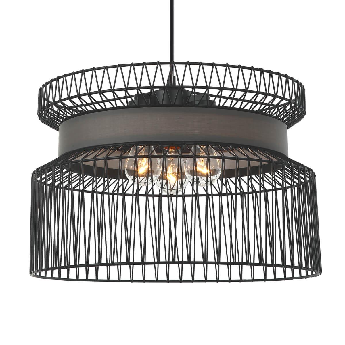 Дополнительная картинка Подвесная люстра Favourite Korb 2363-2P