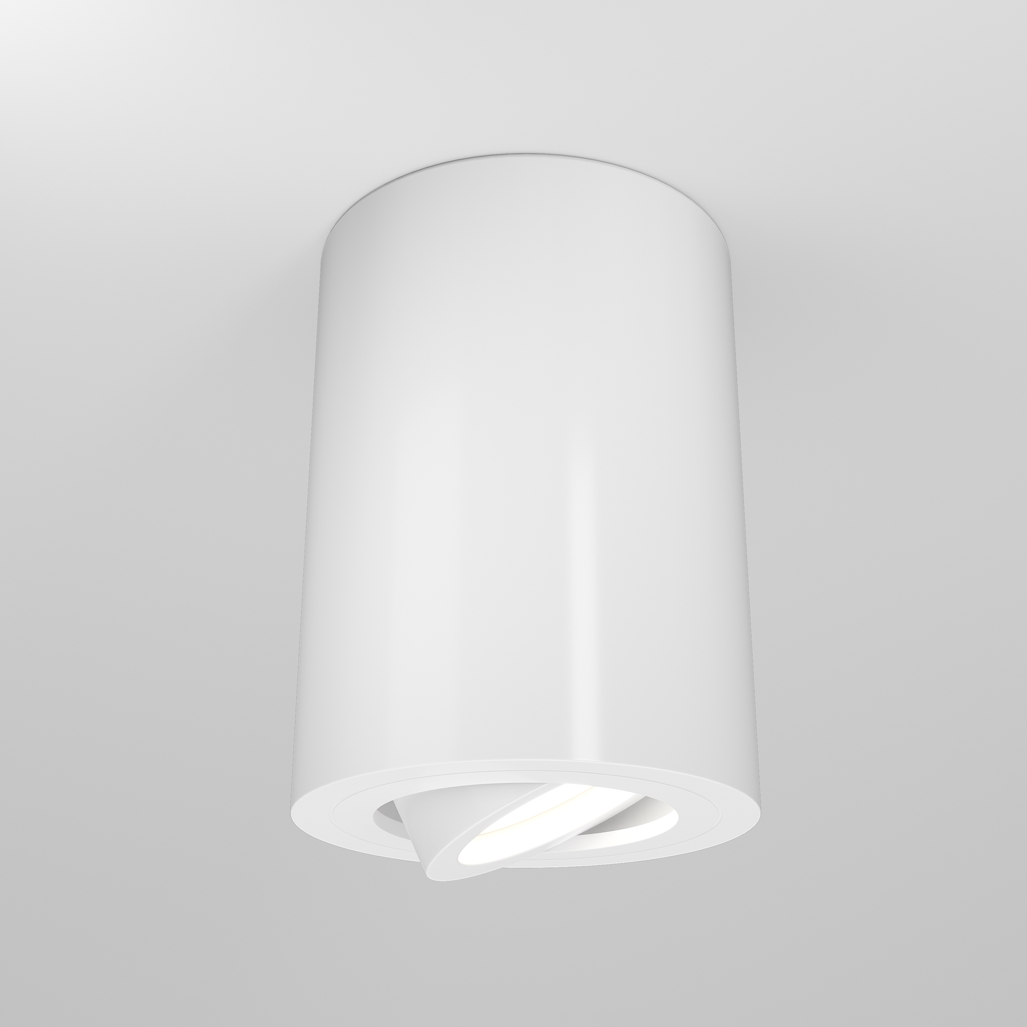 Дополнительная картинка Потолочный светильник Maytoni Alfa C016CL-01W