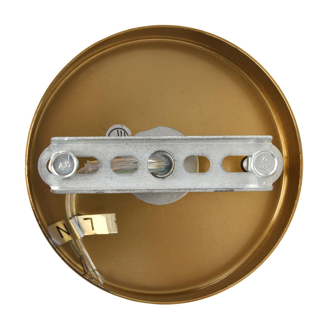Картинка 8320/5 Lumion Люстра CHIPSY