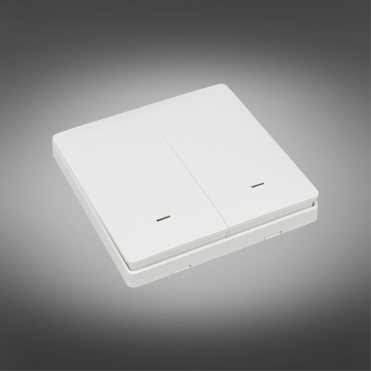 Дополнительная картинка APL.0190.00.02/RT-A-ZS-EU2 Выключатель двухклавишный