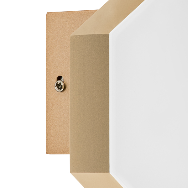 Картинка Настенный светодиодный светильник Lightstar Favo 750631