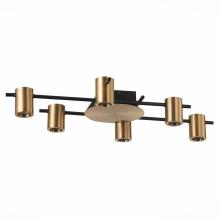 Потолочные Потолочная люстра ST Luce Veroli SL1207.402.06, доставка по Казахстану 