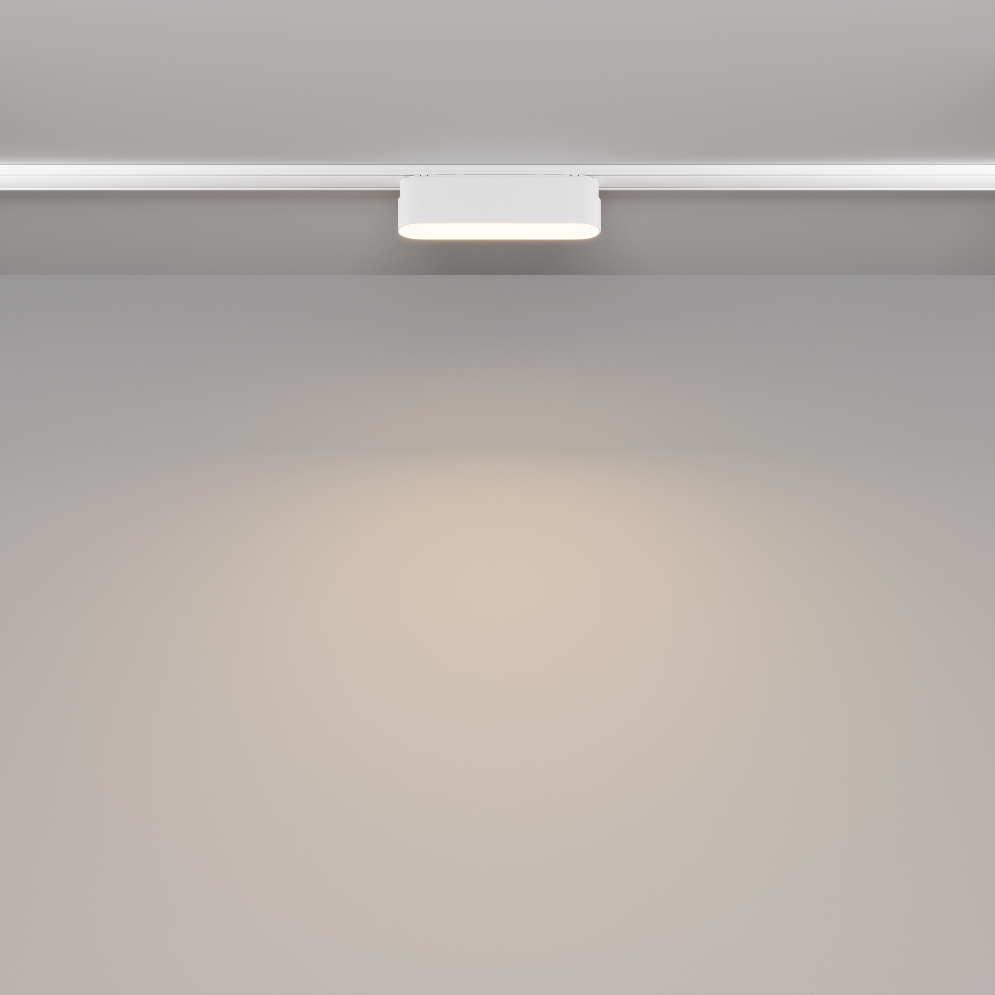 Картинка Трековый светильник Technical TR080-1-6W3K-W