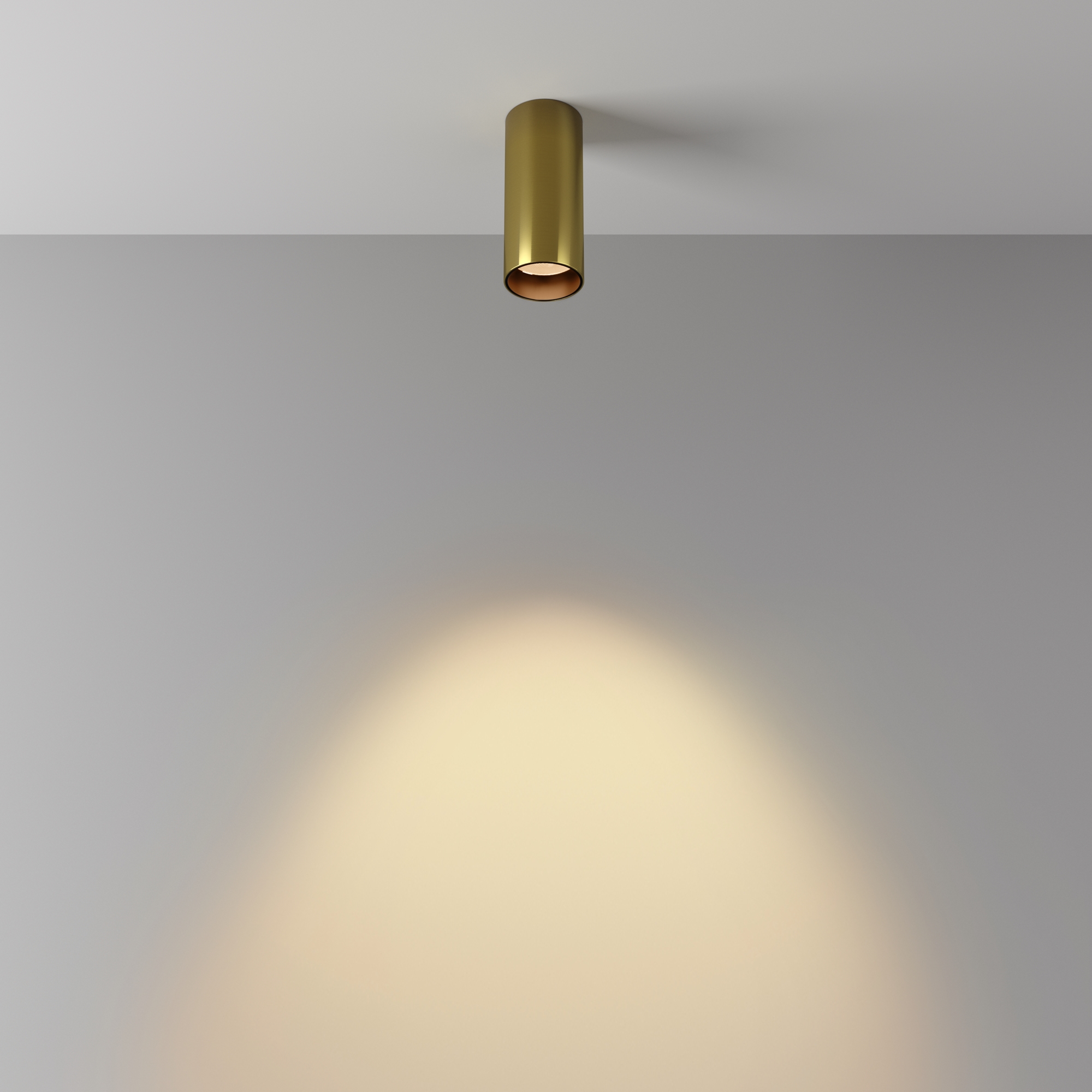 Картинка Потолочный светильник Technical C056CL-L12W2.7K-W-BS