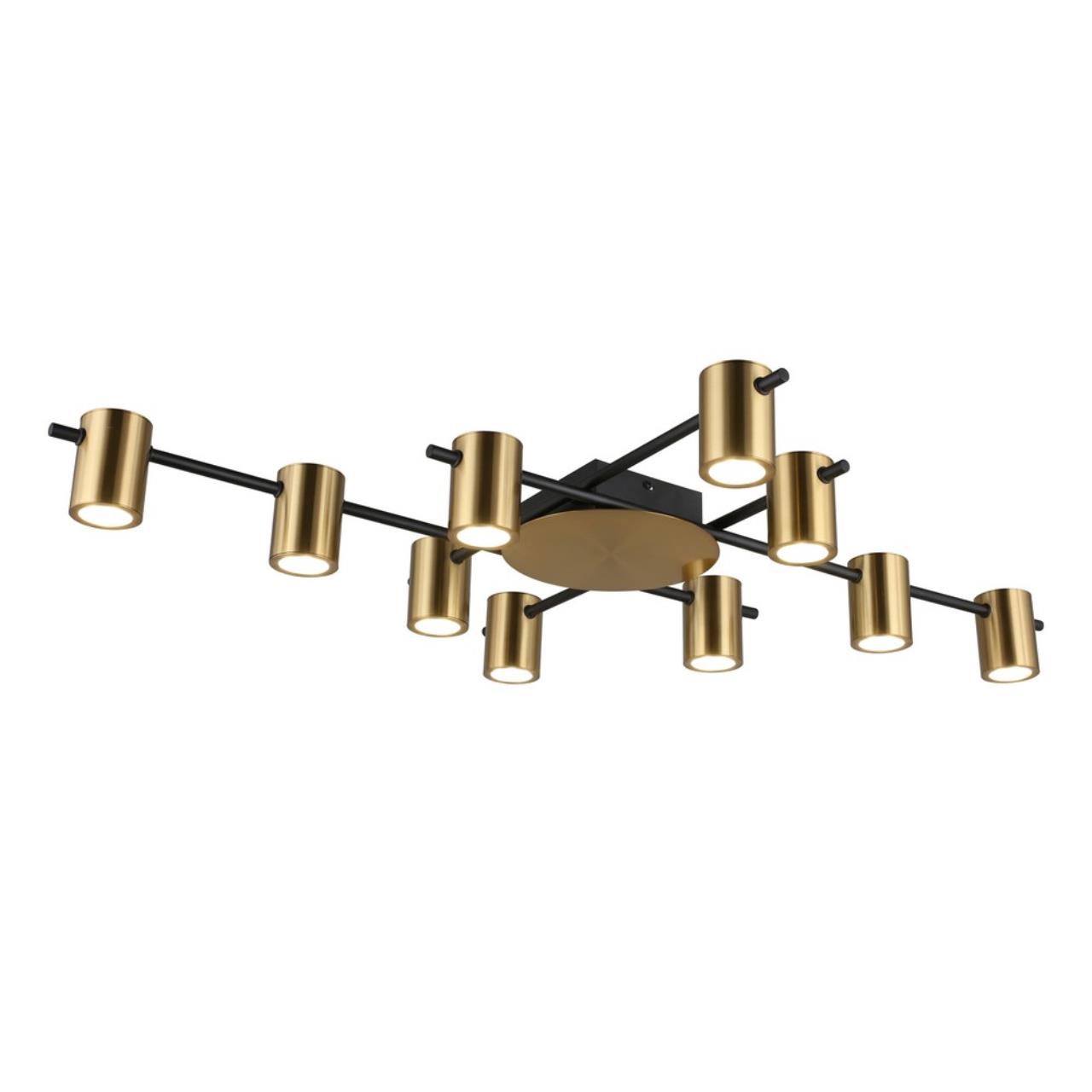 Картинка Потолочная люстра Aployt Elwisia APL.633.07.10