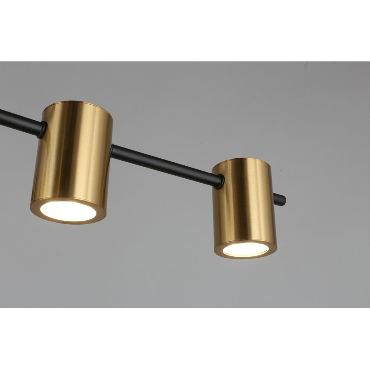 Картинка Потолочная люстра Aployt Elwisia APL.633.07.10