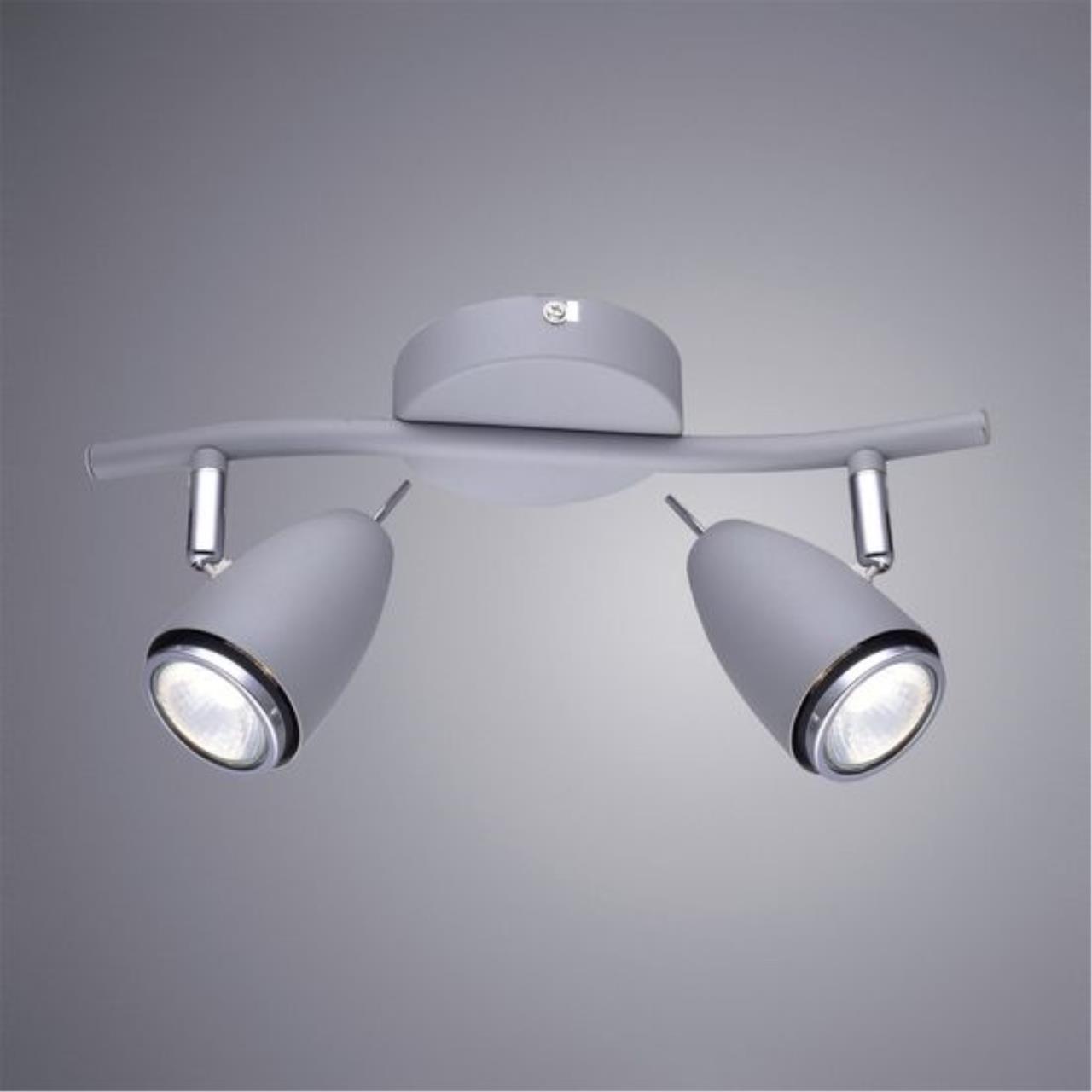 Настенно-потолочный светильник Arte Lamp Regista A1966AP-2GY — фото 12