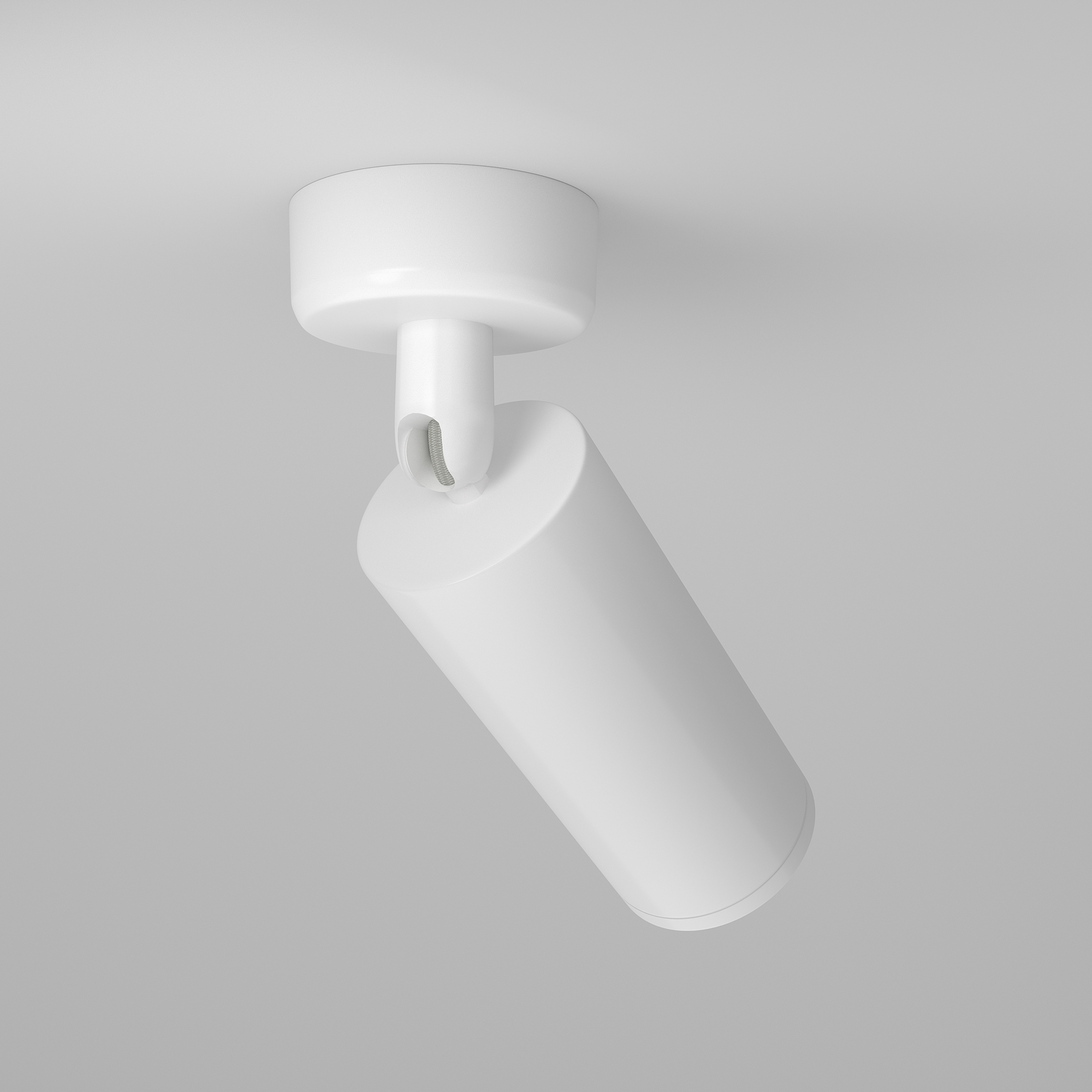 Картинка Спот C017CW-01W