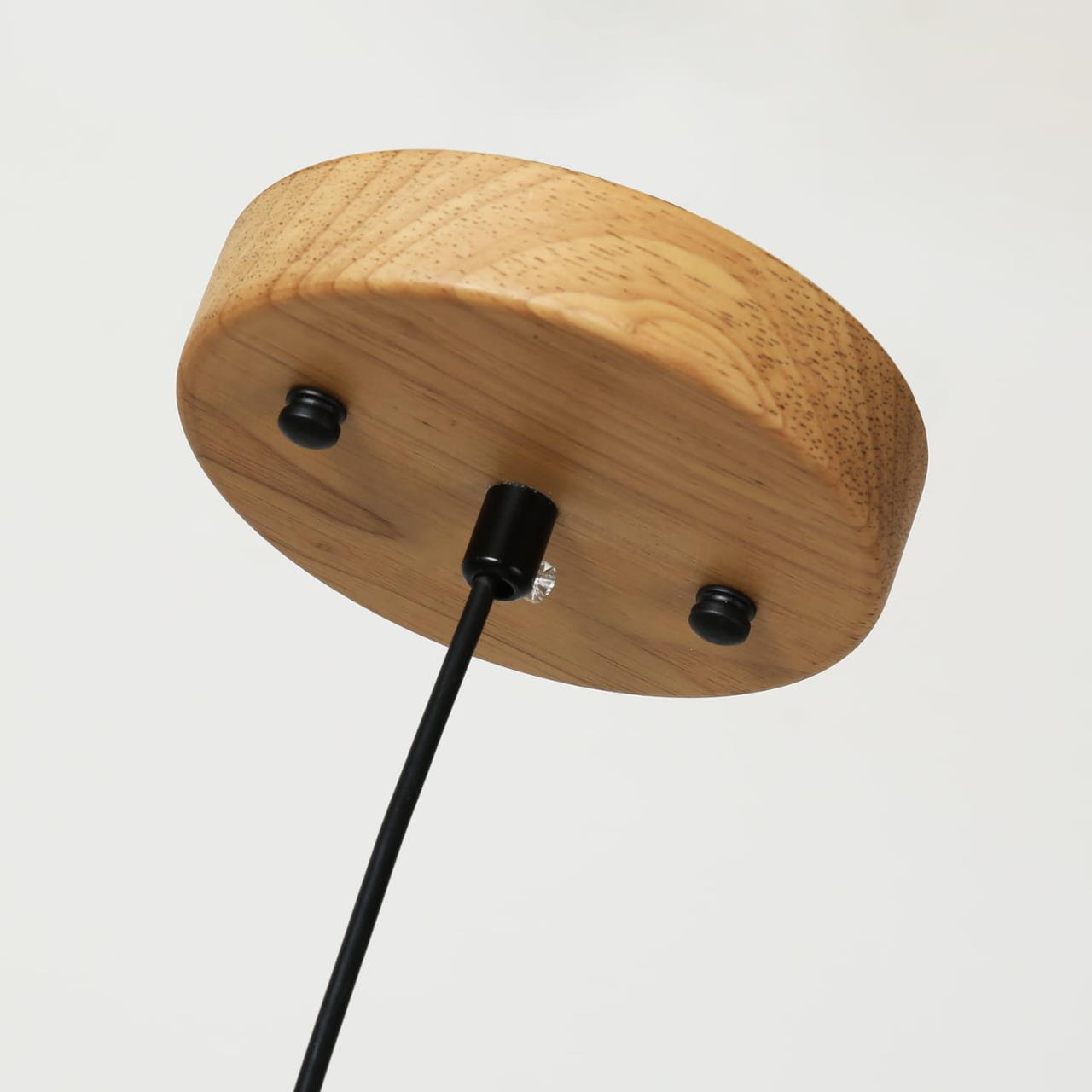 Дополнительная картинка Подвесной светодиодный светильник Favourite Pendenti 2015-1P