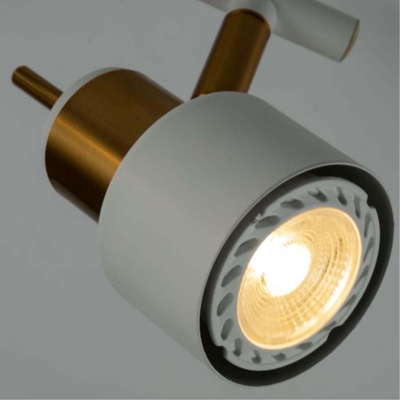 Дополнительная картинка Спот Arte Lamp Almach A1906PL-2WH