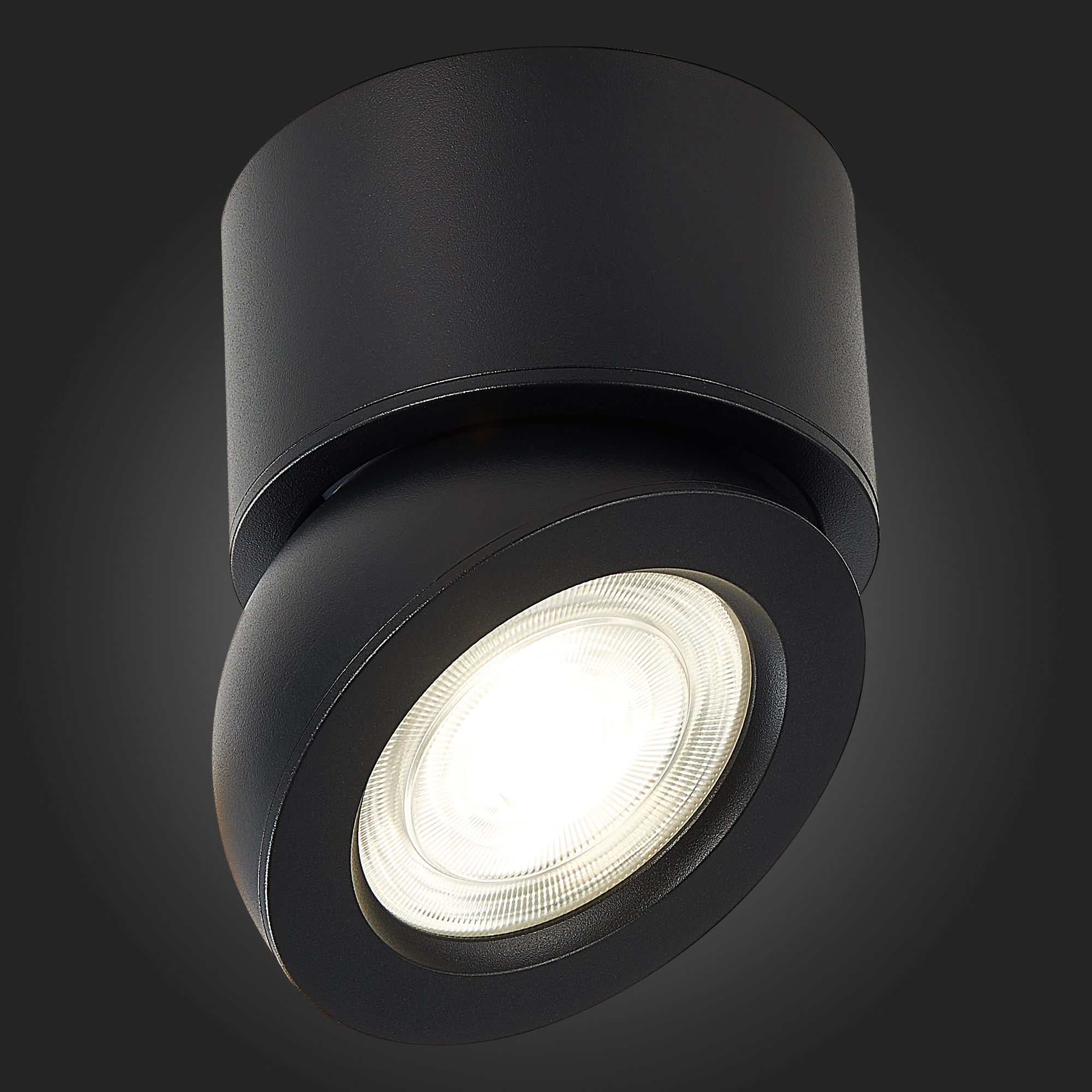 Картинка Светодиодный спот ST Luce ST654.442.10