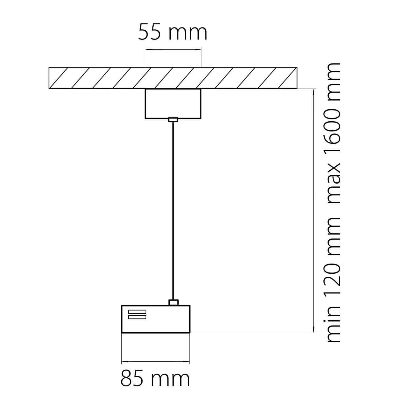 Дополнительная картинка Питание подвесное Lightstar Barra 502196