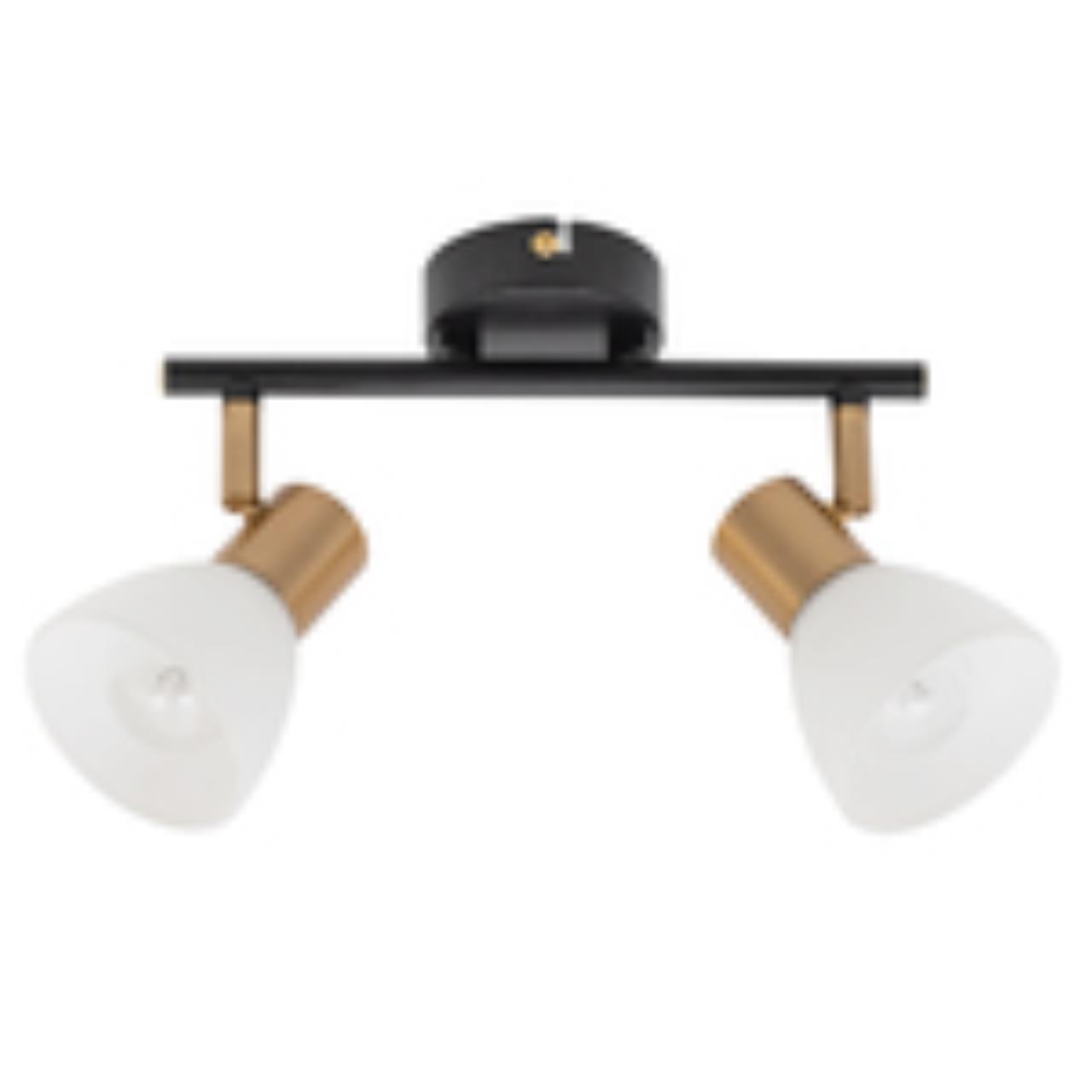 Дополнительная картинка Настенно-потолочный светильник Arte Lamp Falena A3117PL-2BK