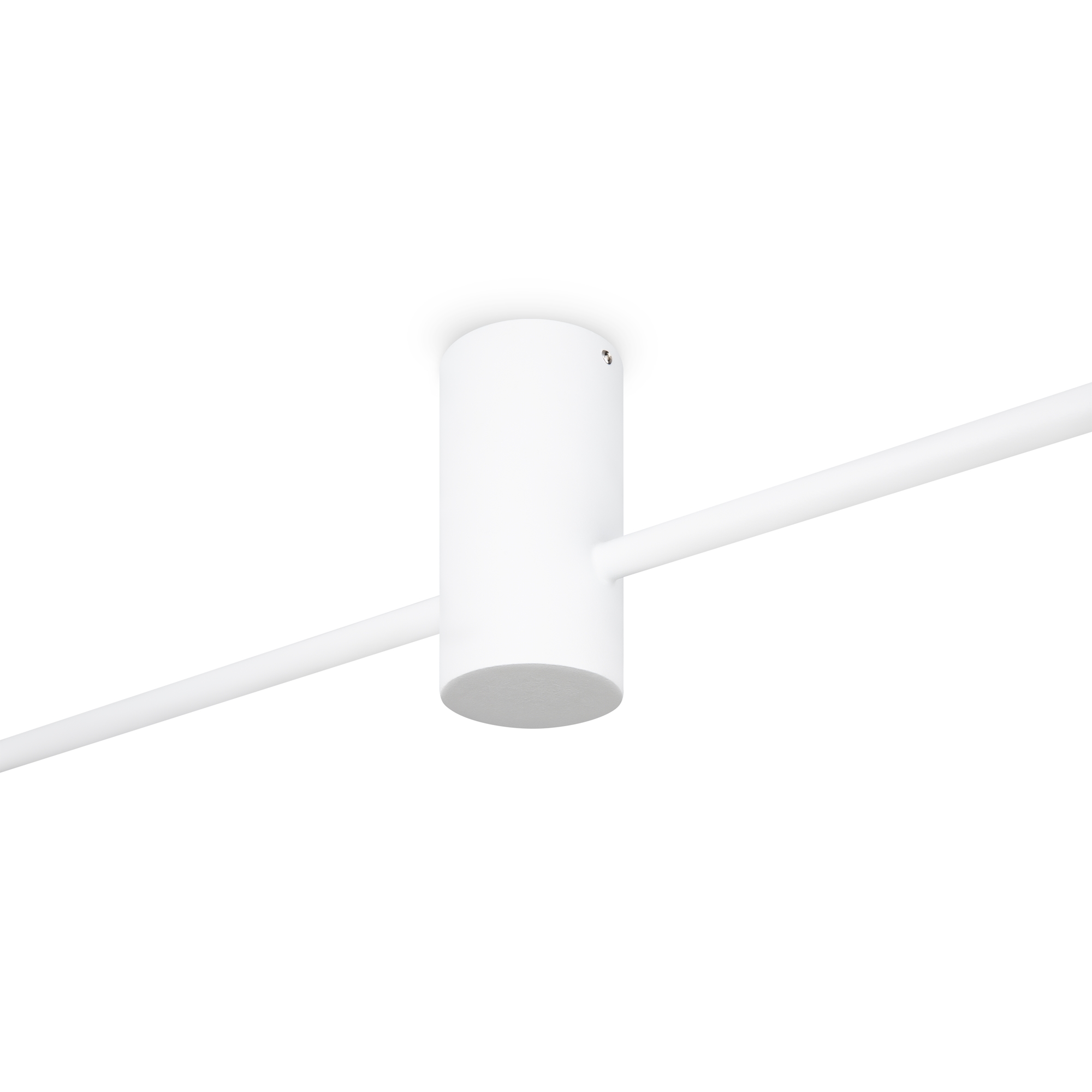 Дополнительная картинка Потолочный светильник Freya FR5363CL-02W1