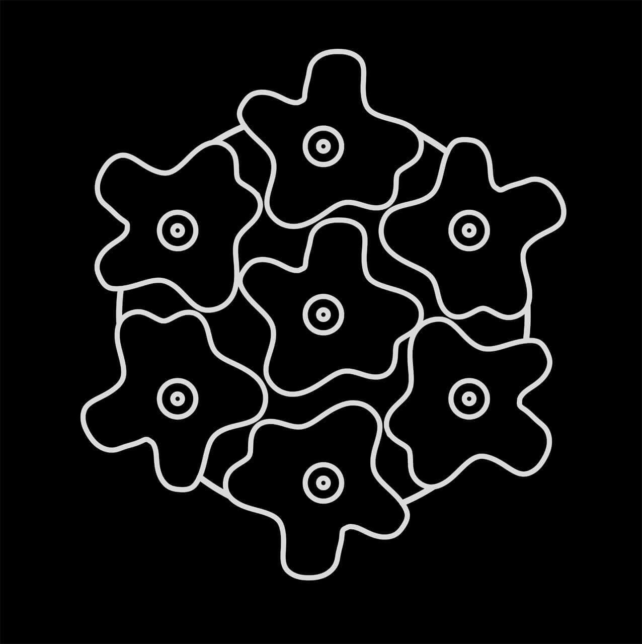 Картинка Потолочная люстра Lightstar Nubi 802070