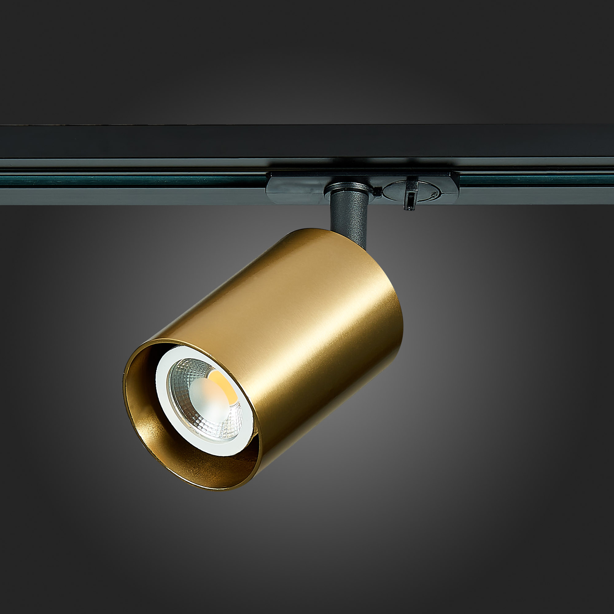 Картинка Трековый светильник ST Luce ST302.206.01