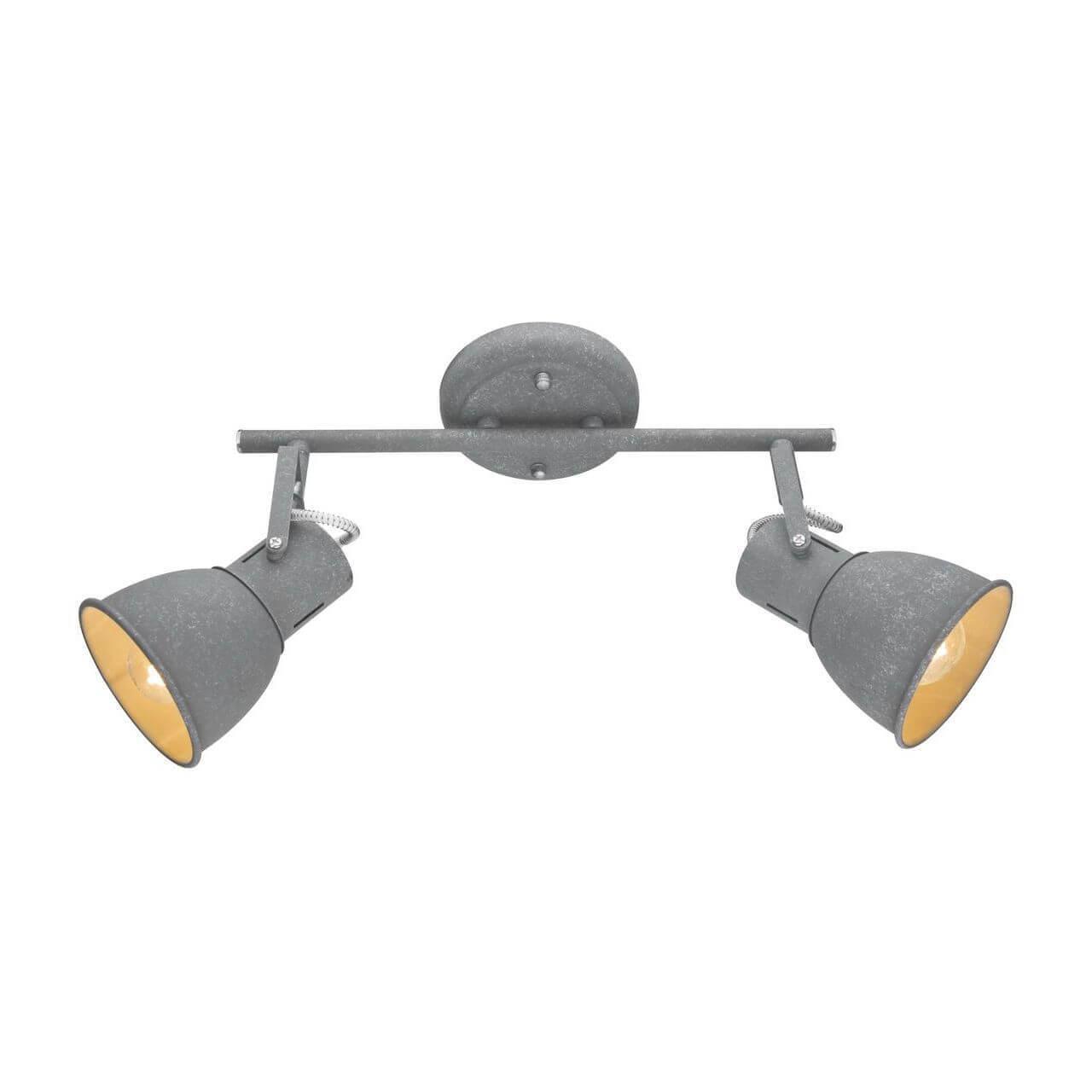 Дополнительная картинка Спот Arte Lamp A1677PL-2GY