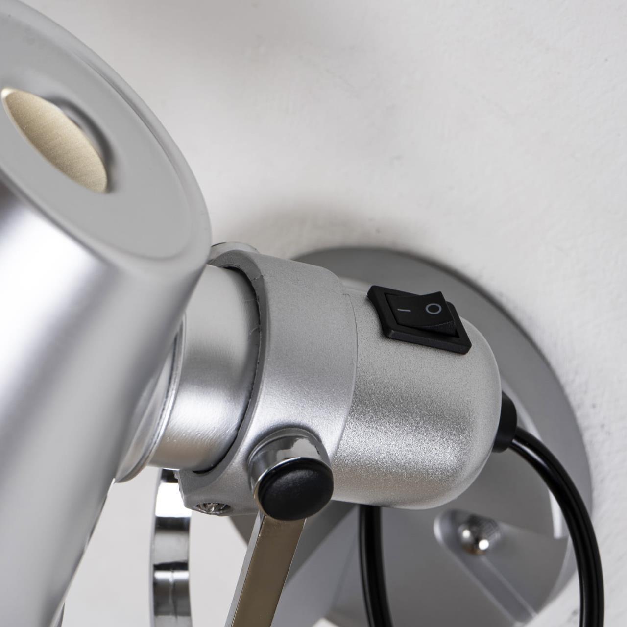 Картинка Спот Favourite Legend 1869-1W