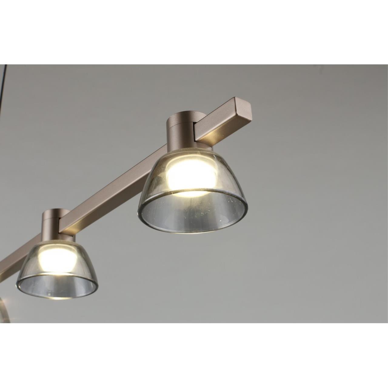 Картинка APL.788.03.06 Светильник подвесной Aployt Rezeda