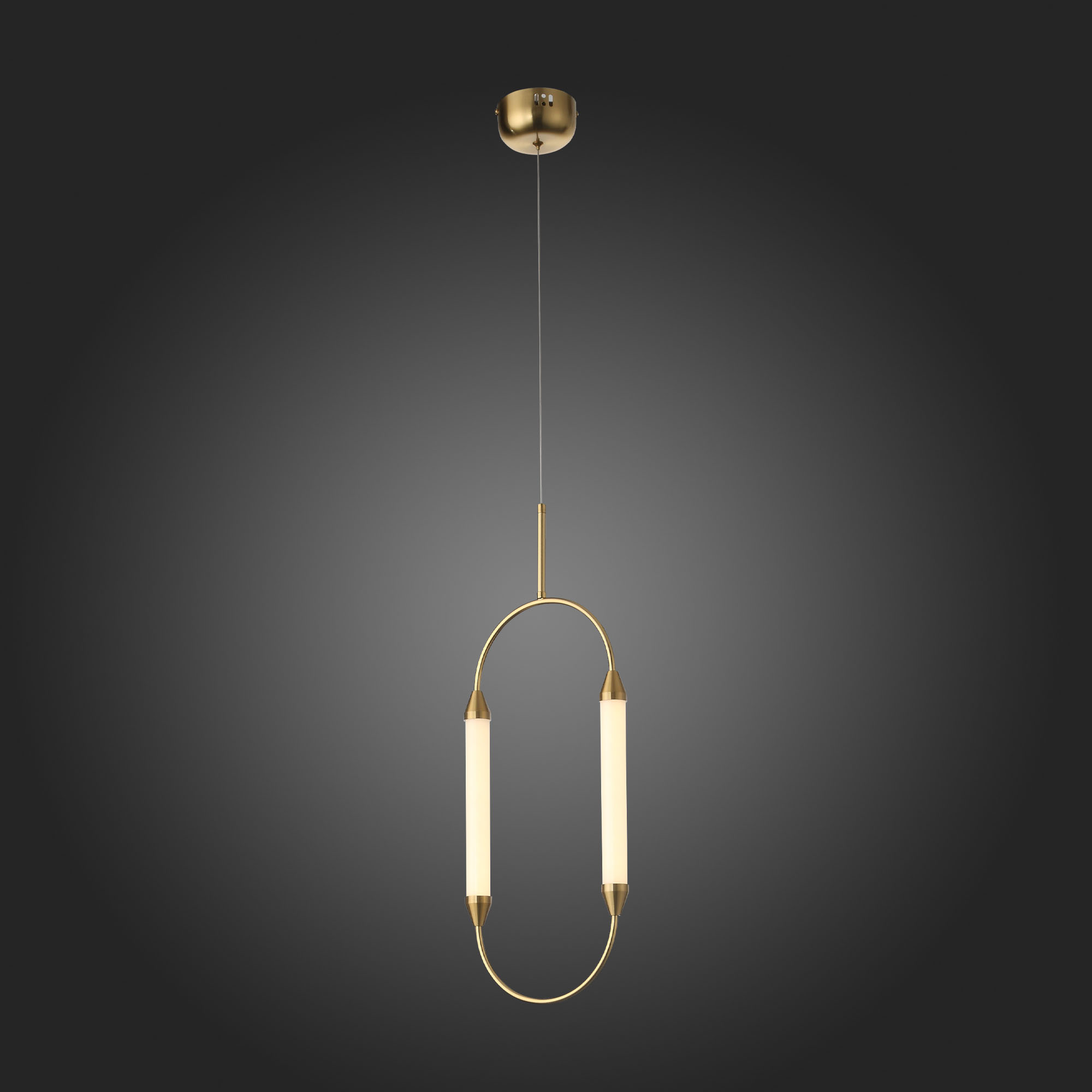 Дополнительная картинка Подвесной светодиодный светильник ST Luce Olbia SL6004.303.02