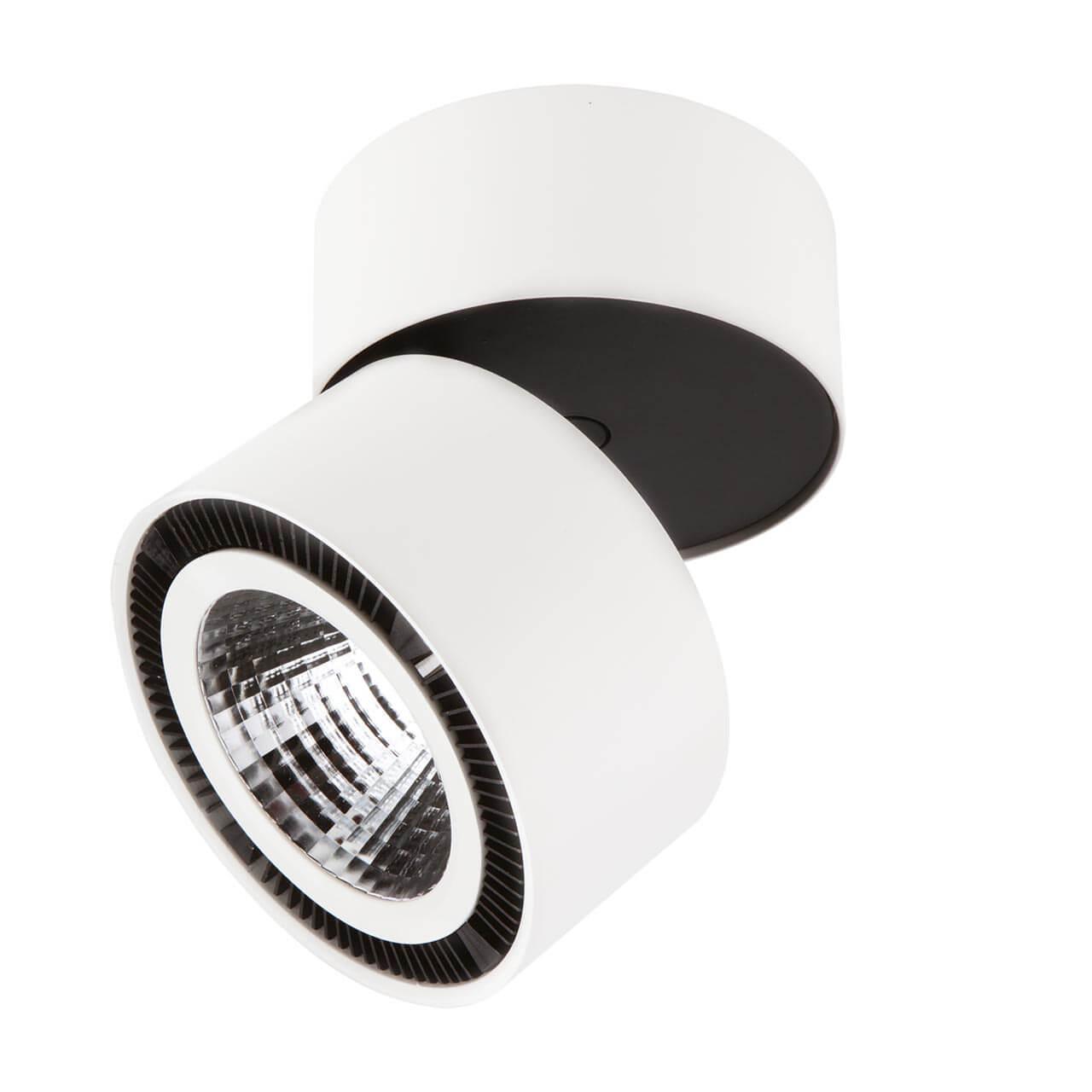 Дополнительная картинка Светодиодный спот Lightstar Forte Muro 213816