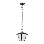 Уличный светодиодный светильник Lightstar Lampione 375070 — фото 6