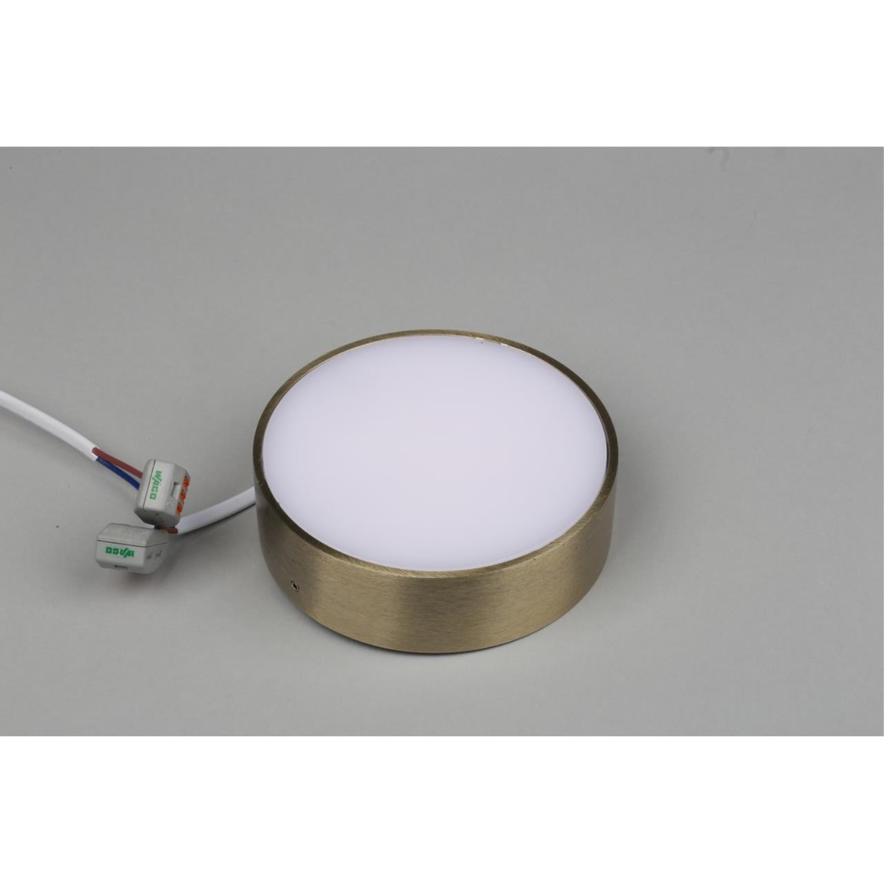 Картинка Потолочный светодиодный светильник Aployt Evon APL.0113.29.12